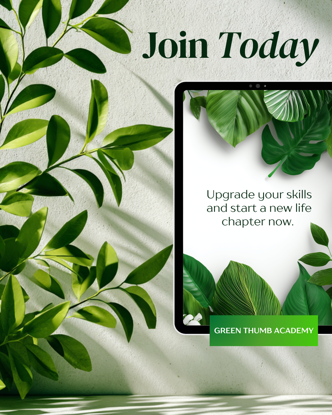 Biophilia: A Canva Color Swap