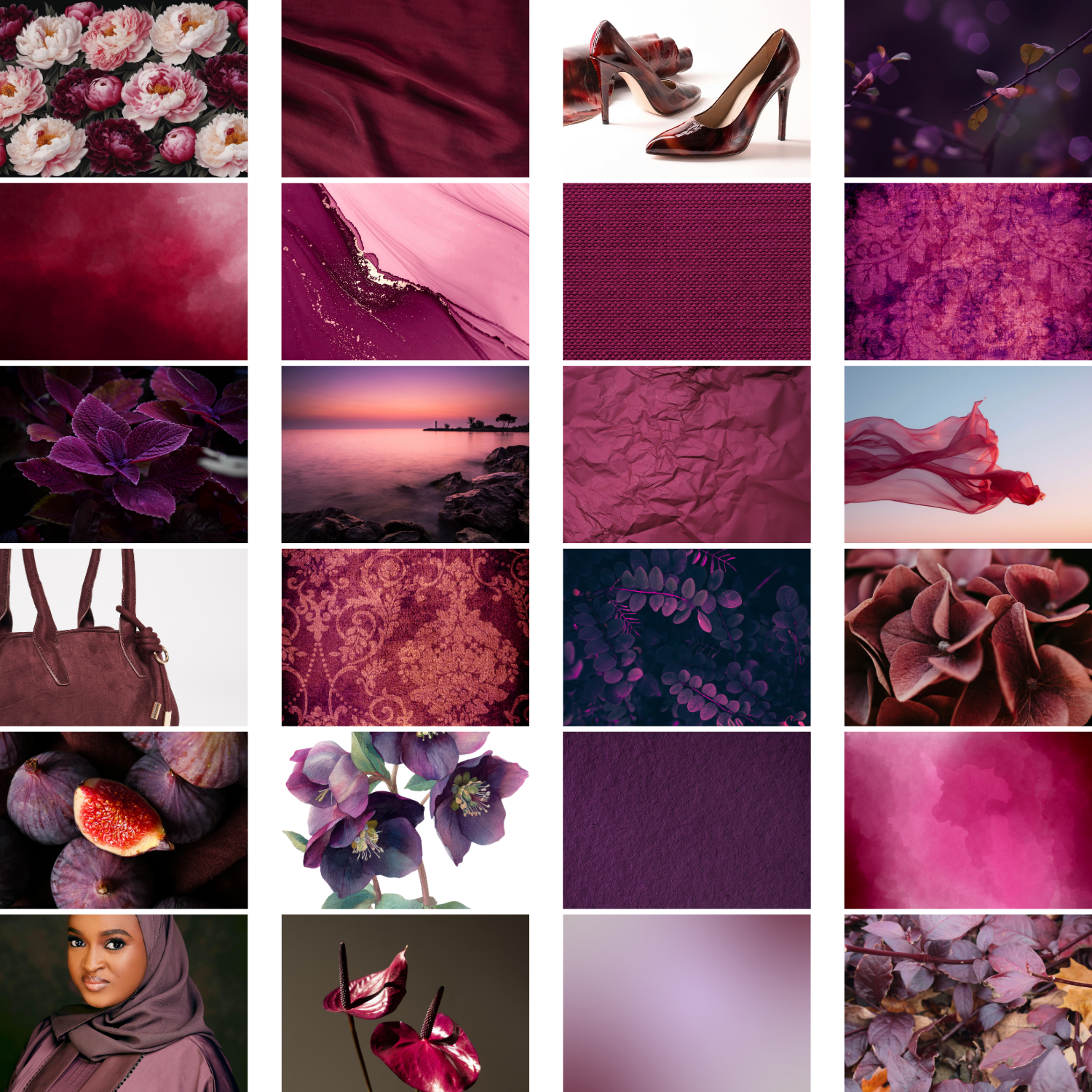 Fancy Fig Image Set