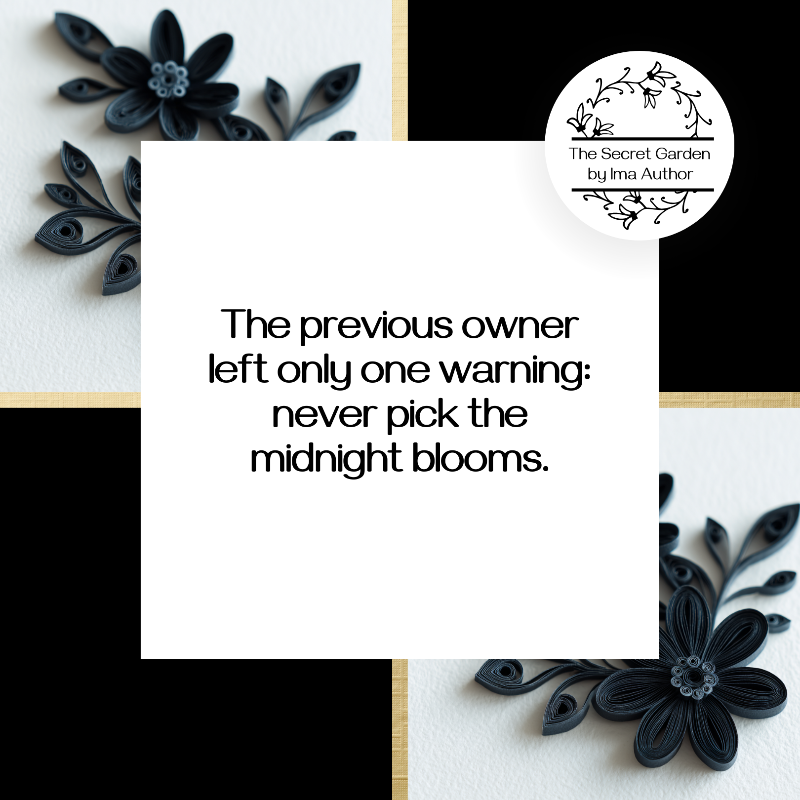 Designing Desire: A Canva Capsule For Authors