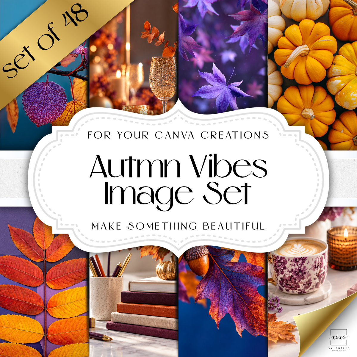 Autumn Stock Photos