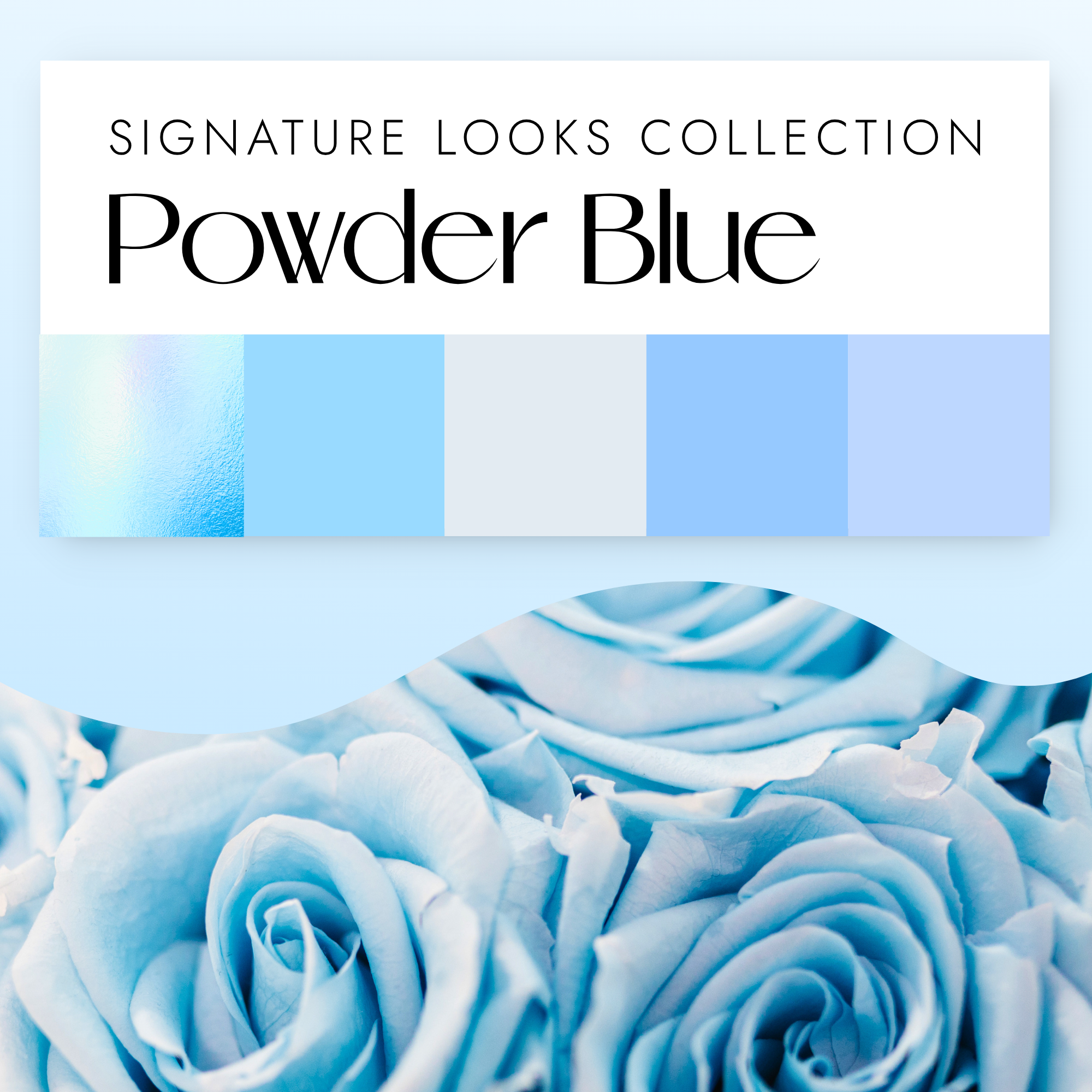 Powder Blue Collection