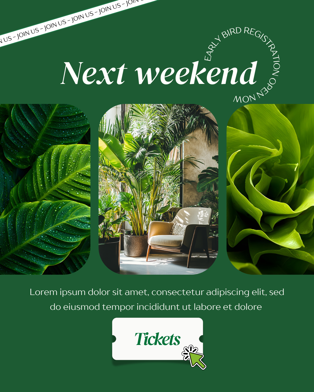 Biophilia: A Canva Color Swap