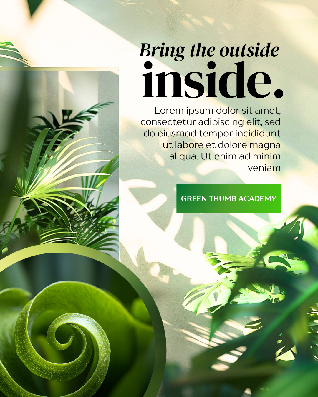 Biophilia: A Canva Color Swap