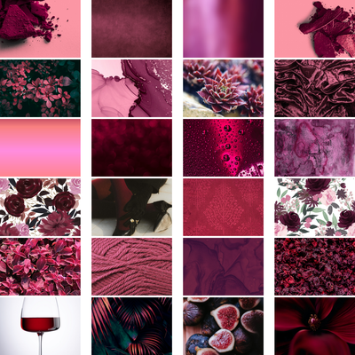 Fancy Fig Image Set