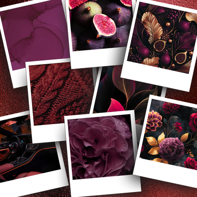 Fancy Fig Image Set