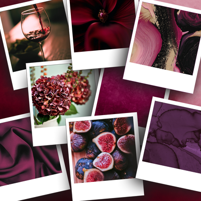 Fancy Fig Image Set