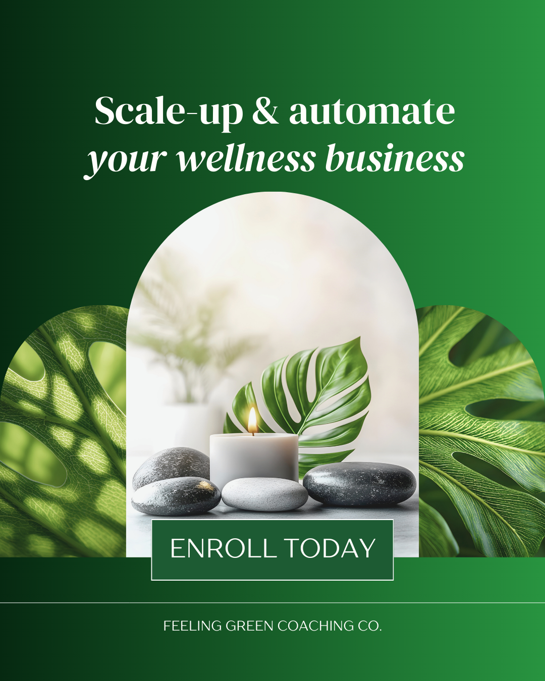 Biophilia: A Canva Color Swap