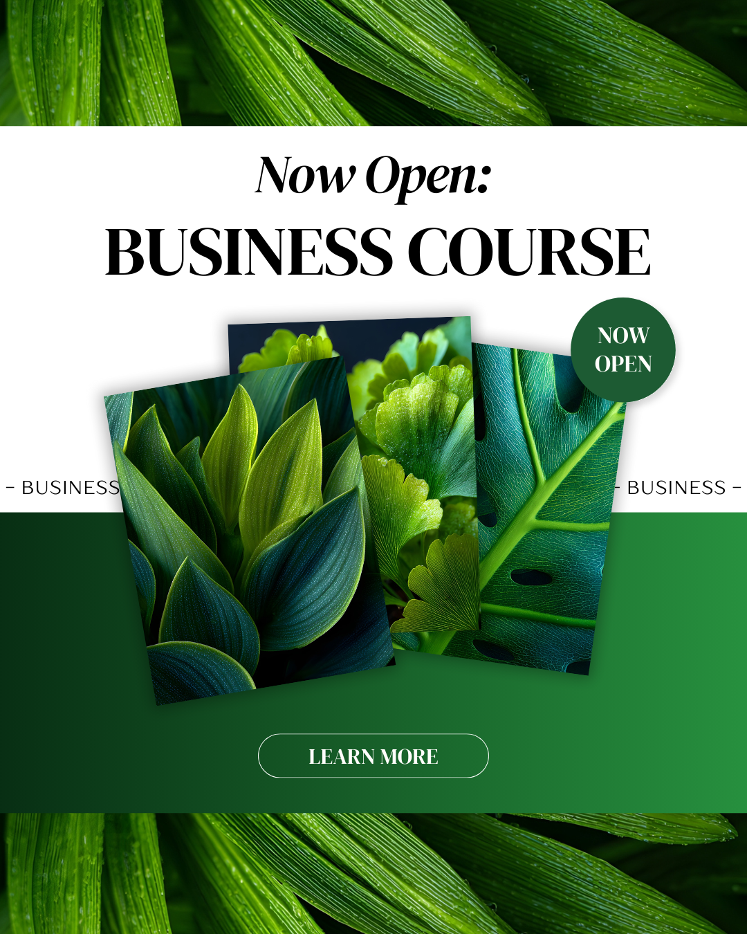 Biophilia: A Canva Color Swap