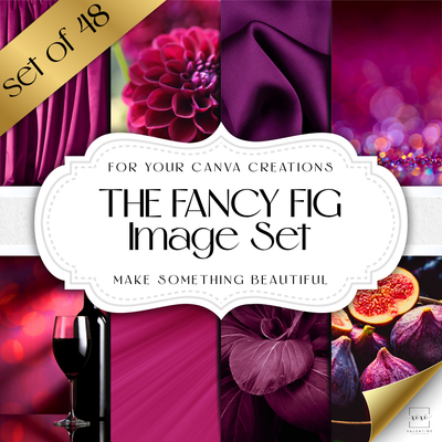 Fancy Fig Image Set