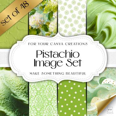 Pistachio Image Set