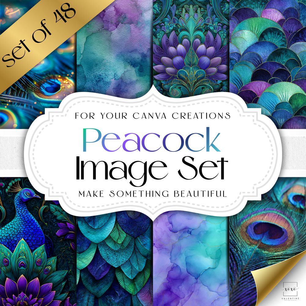Peacock Image Set