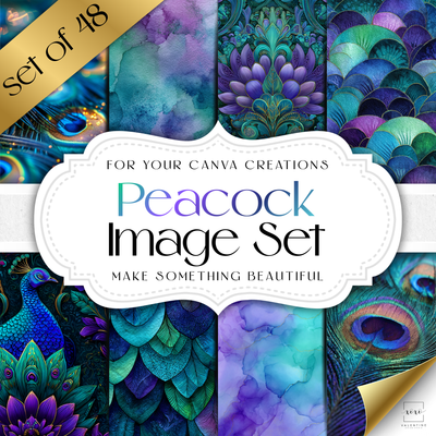 Peacock Image Set