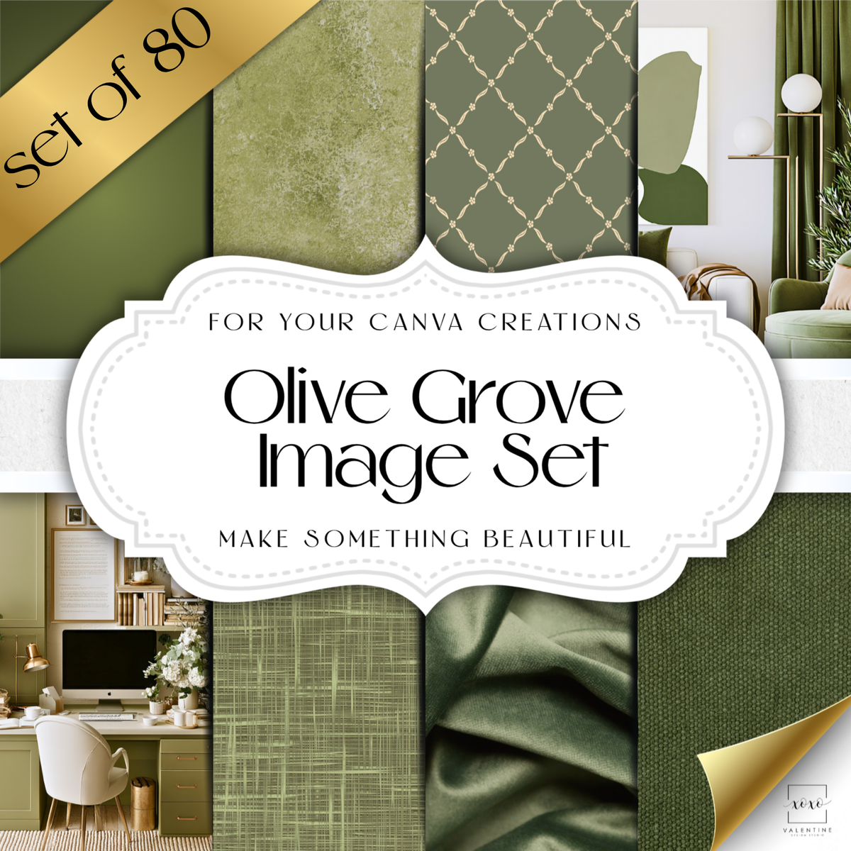 Olive Grove Images