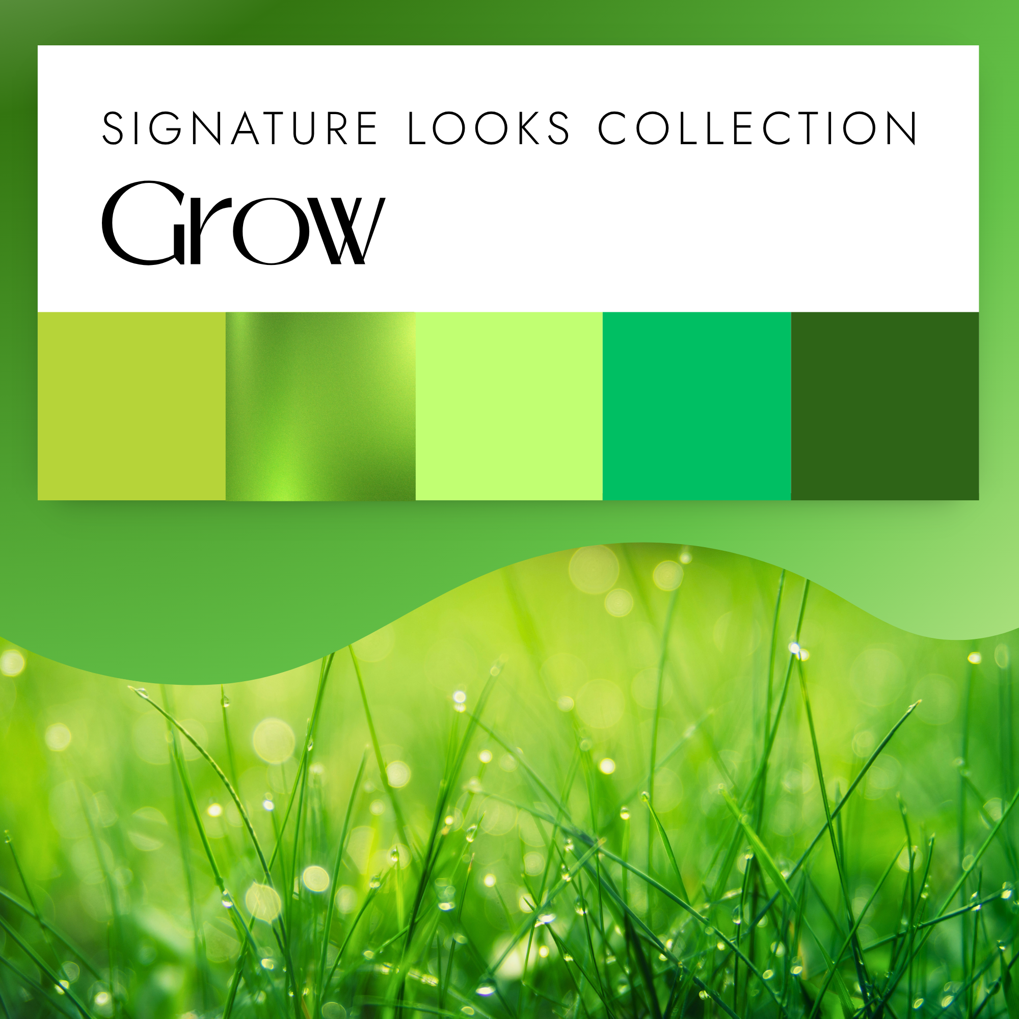 Grow Signature Looks Collection