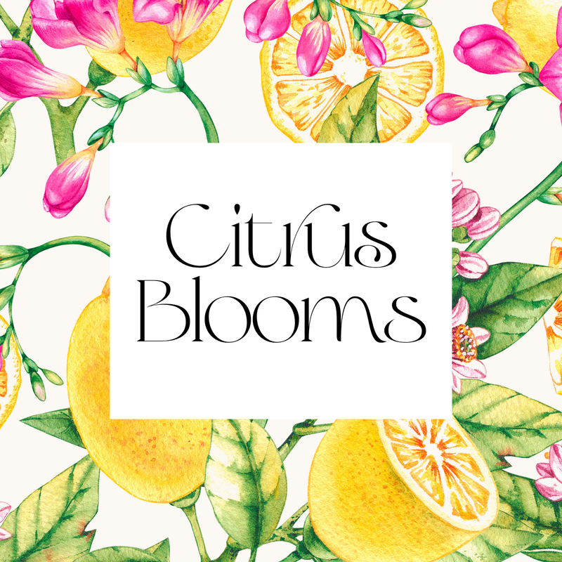 citrus blooms