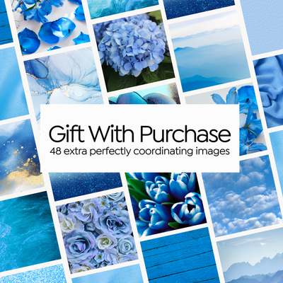 Blue Spring Workshop Kit